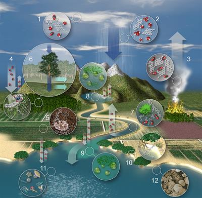 Where Carbon Goes When Water Flows: Carbon Cycling across the Aquatic Continuum